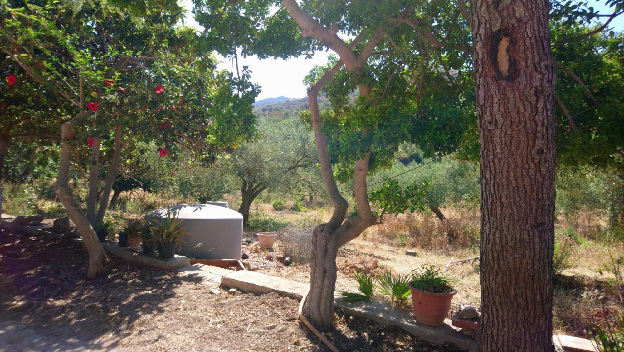 Linati'S Apartments Pollina Bagian luar foto